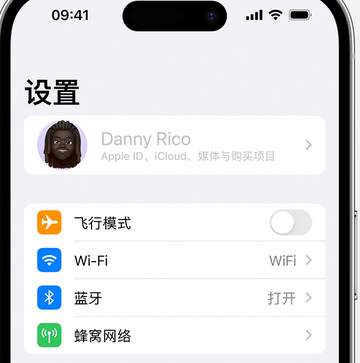 莺歌海镇appleID维修服务iPhone设置中Apple ID显示为灰色无法使用 