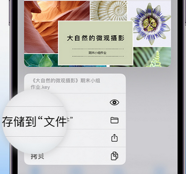 莺歌海镇apple维修中心分享iPhone文件应用中存储和找到下载文件