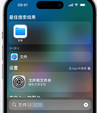 莺歌海镇apple维修中心分享iPhone文件应用中存储和找到下载文件 