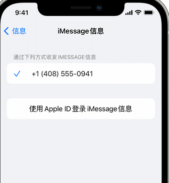 莺歌海镇apple维修iPhone上无法正常发送iMessage信息 