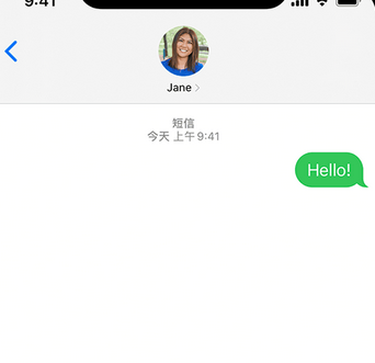 莺歌海镇apple维修iPhone上无法正常发送iMessage信息