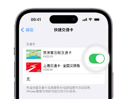 莺歌海镇apple维修点分享iPhone上更换Apple Pay快捷交通卡手绘卡面 