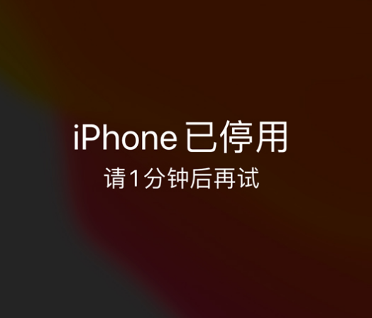 莺歌海镇苹果手机维修分享:iPhone 显示“不可用”或“已停用”怎么办？还能保留数据吗？ 