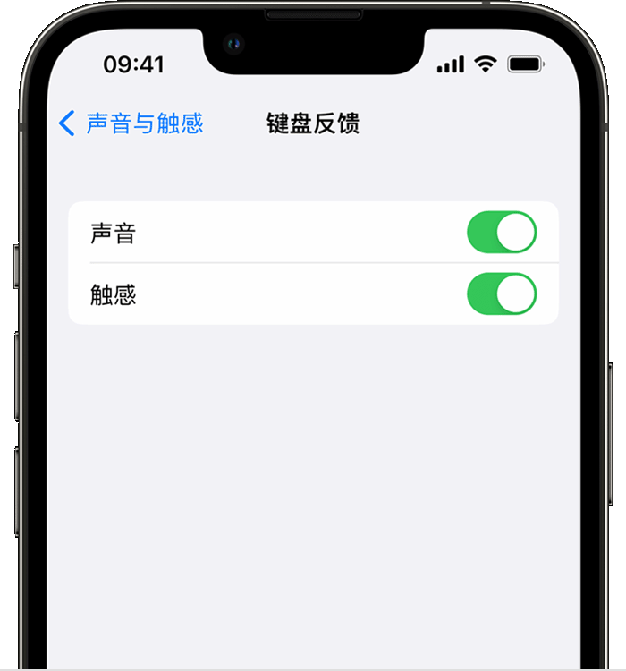 莺歌海镇苹果14维修店分享如何在 iPhone 14 机型中使用触感键盘 