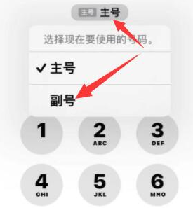 莺歌海镇苹果14维修店分享iPhone 14 Pro Max使用副卡打电话的方法 