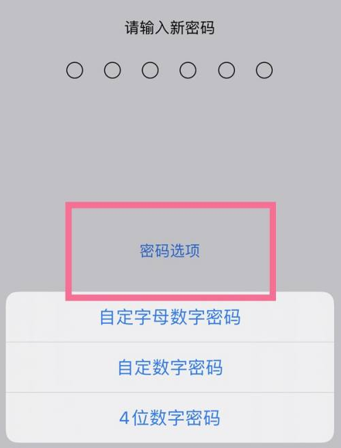 莺歌海镇苹果14维修分享iPhone 14plus设置密码的方法 