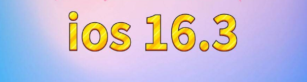 莺歌海镇苹果服务网点分享苹果iOS16.3升级反馈汇总 