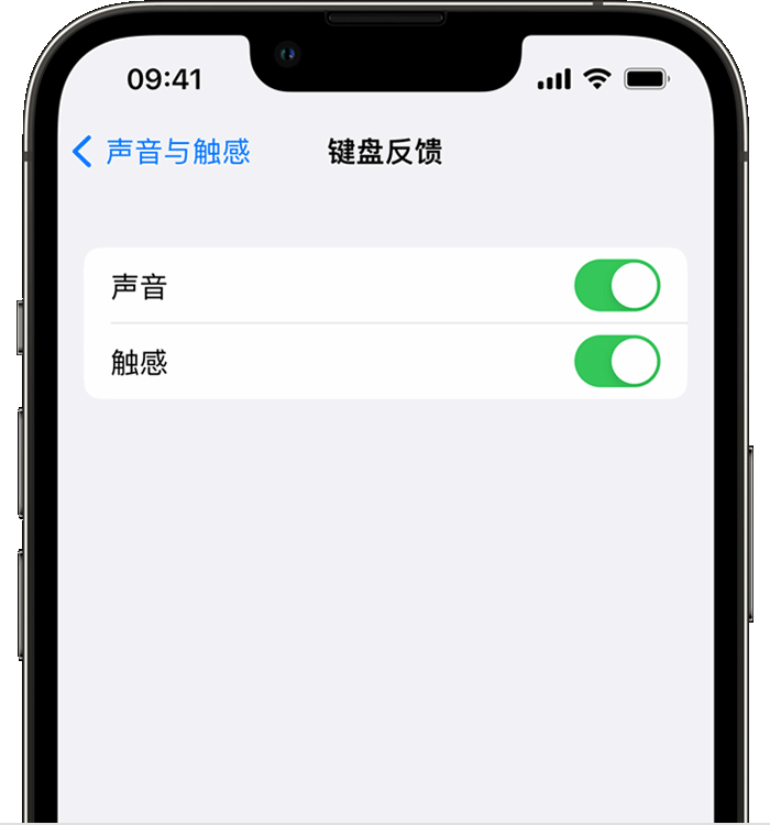 莺歌海镇苹果14维修分享iPhone 14 系列机型如何开启键盘声音或触感反馈 