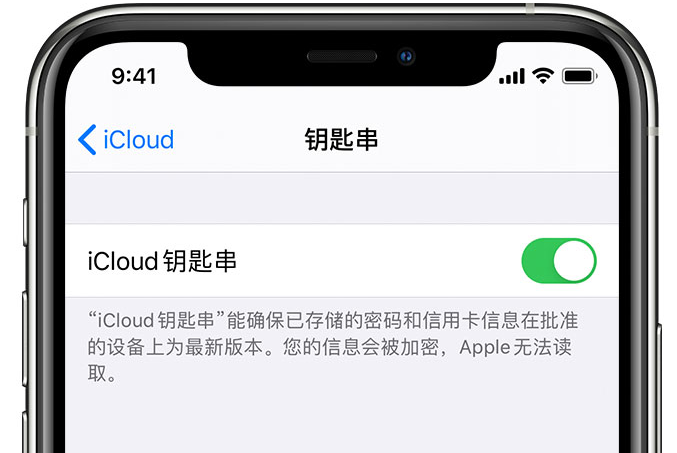 莺歌海镇苹果手机维修分享在 iPhone 上开启 iCloud 钥匙串之后会储存哪些信息 