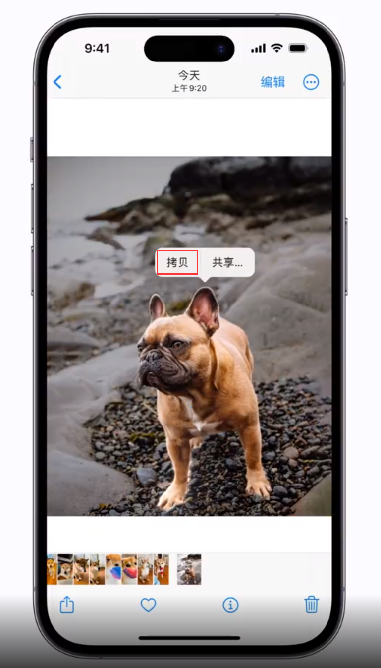 莺歌海镇苹果手机维修分享 iOS 16 自带一键抠图功能 
