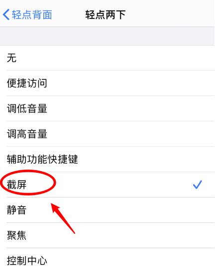 莺歌海镇苹果手机维修分享iPhone12如何启用双击截屏 