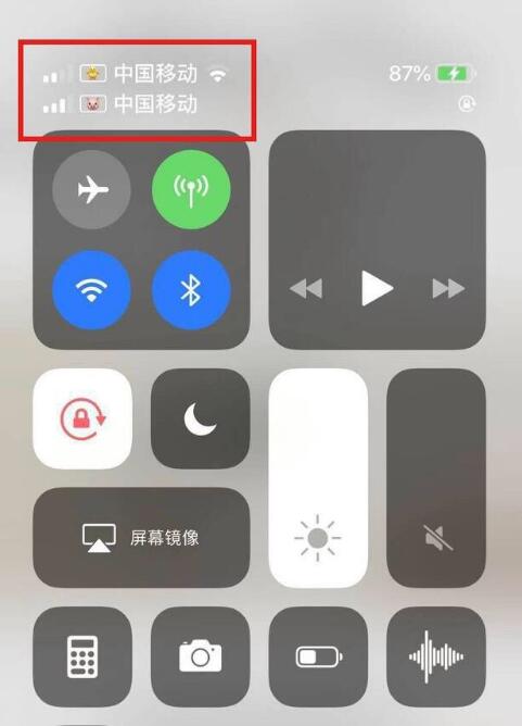莺歌海镇苹果手机维修分享为 iPhone 12 双卡设置标签 