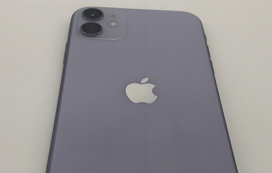 莺歌海镇苹果11系统维修分享iPhone11手机系统崩溃无法开机如何解决